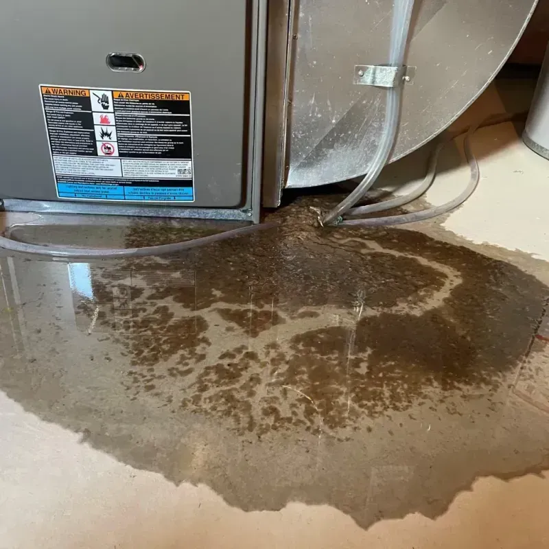 Appliance Leak Cleanup in Greenbriar, FL